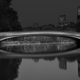 Illustration for article titled New York's Central Park never looked so beautiful as in these photos